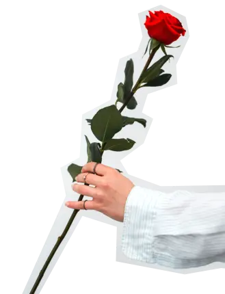 decorative image of a hand holding a rose